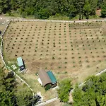 Accommodatie bij particulieren Sora No Mori Marmaris