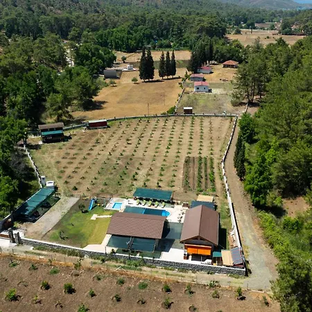 Quarto em Acomodações Particulares Sora No Mori *