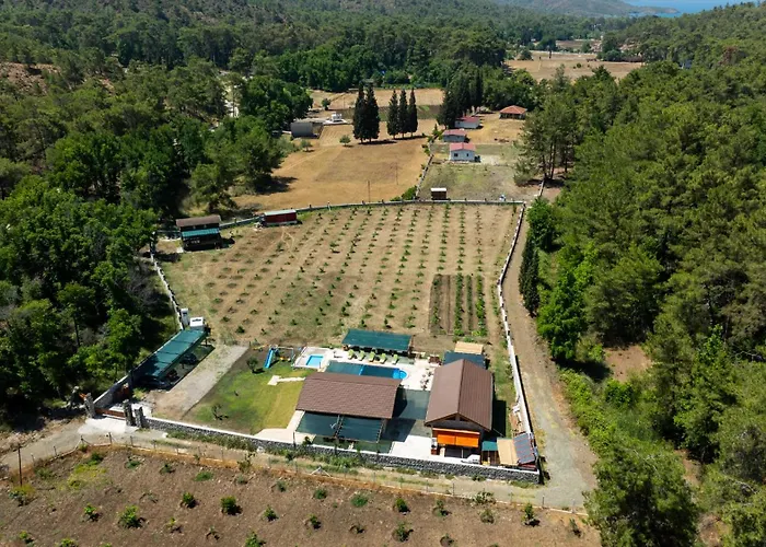 Homestay Sora No Mori *