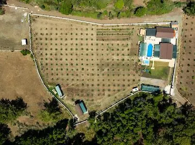 Homestay Sora No Mori *