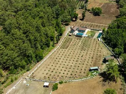 Homestay Sora No Mori *